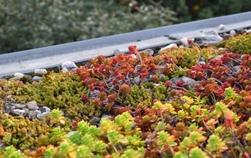 the cost of Cilrhedyn green roof installation