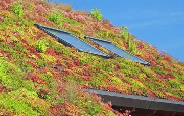 Cilrhedyn living roof systems