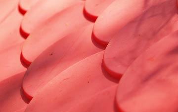 Cilrhedyn plastic roof costs