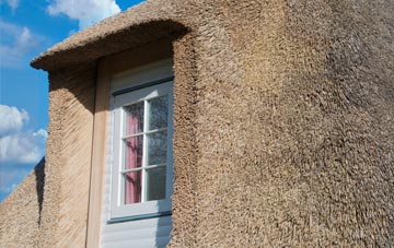 Cilrhedyn thatch roof disadvantages