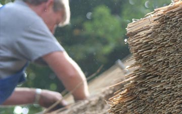 professional Cilrhedyn thatchers